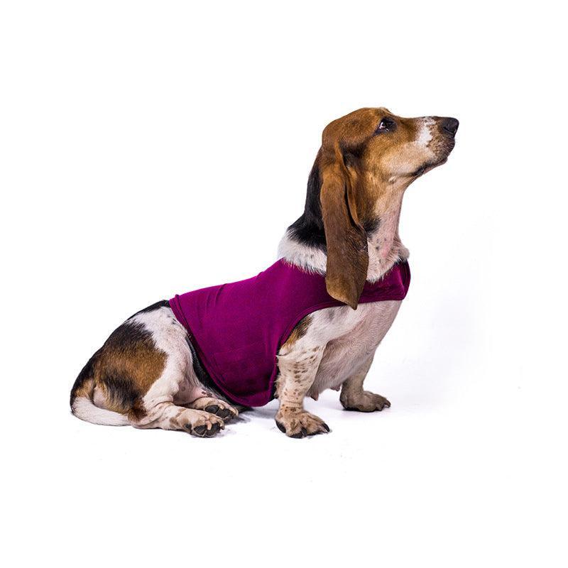 - Dog Anxiety Vest Clothes Fiercely Southern