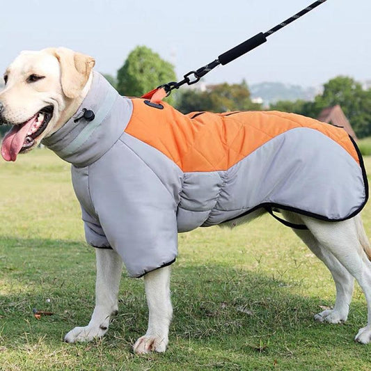 - Dog Coat Jacket Fiercely Southern